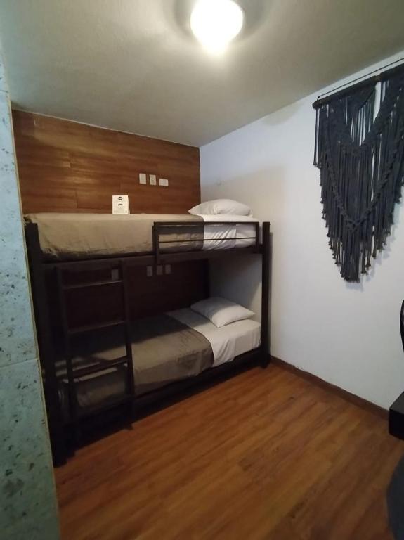 Hotel Sonno Plaza Allende - 4