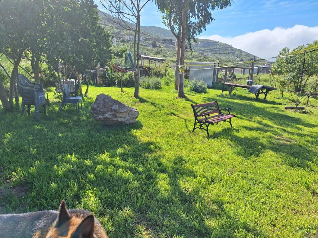La Serena Casa Cabaña de campo entre cactus y colibríes - 2