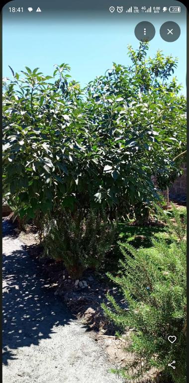 EsMash Studio Machine lanet Nakuru, Nakuru