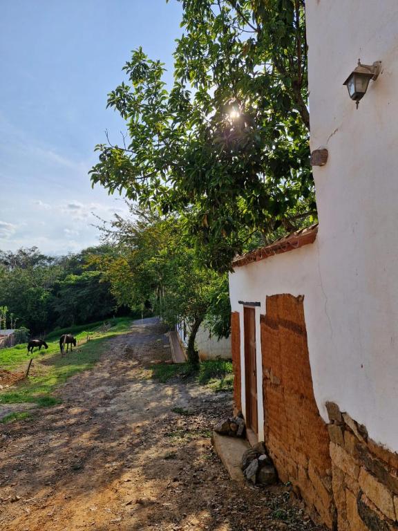 Casa Coraje - 5