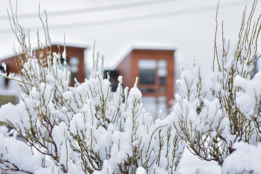 Luna Llena Dina Huapi - 5