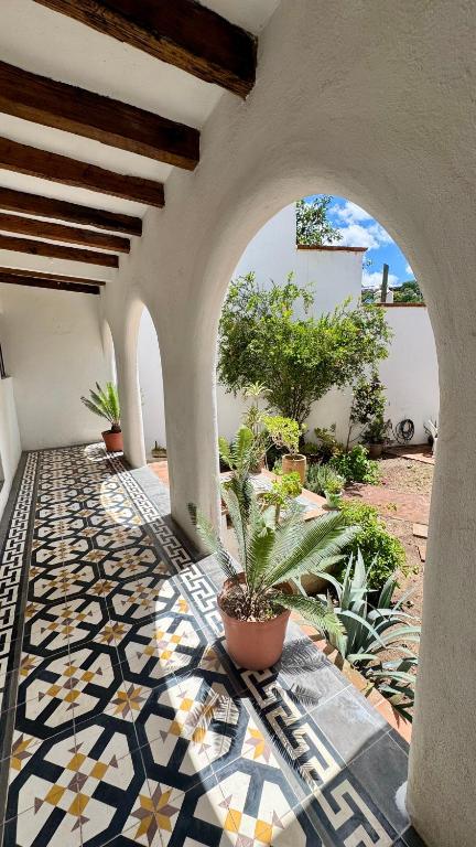 Casita Olivia - 5