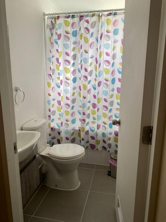 Alojamiento en Villarrica - 5