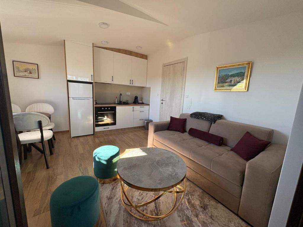 Apartman Draško, Zlatibor