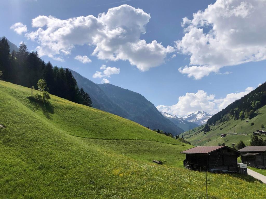 Ferienhaus Berghof Geisler - 4