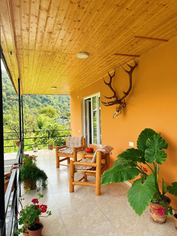 Mountain View, Lagodechi