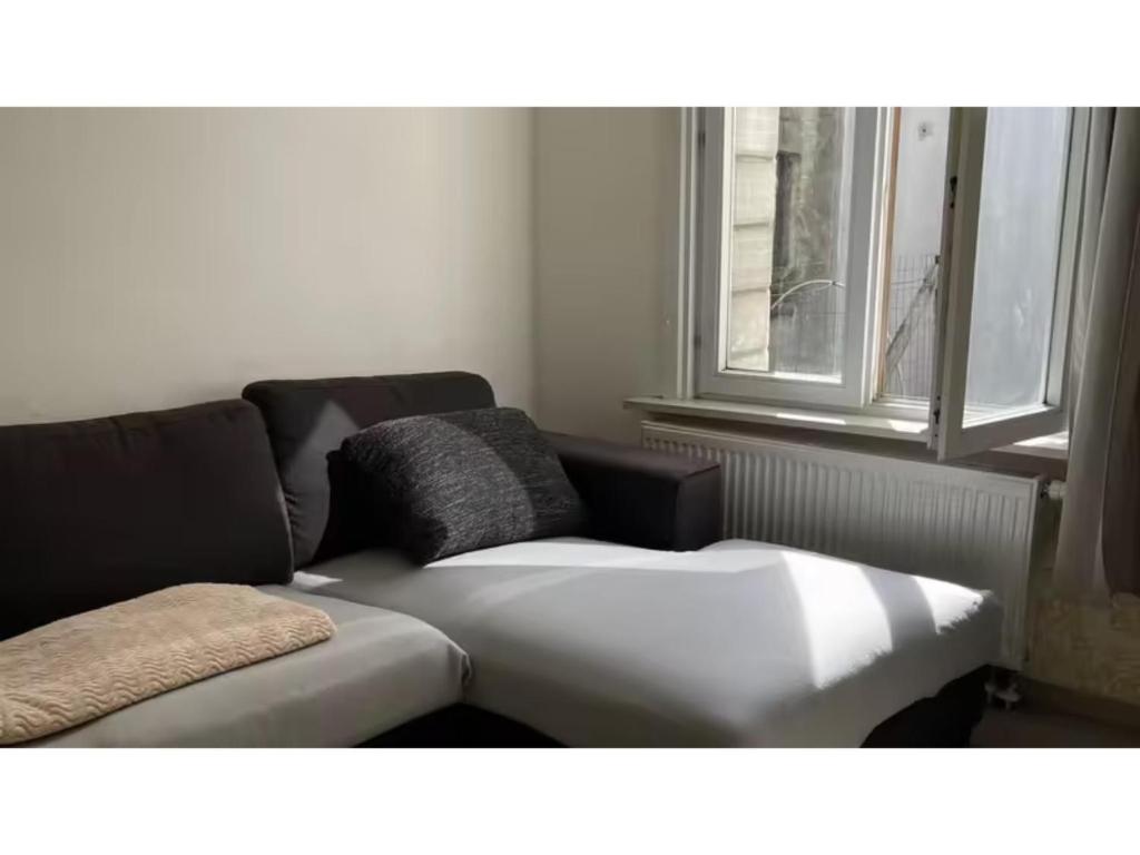 Big beautiful appartement in center of Antwerpen, Antverpy