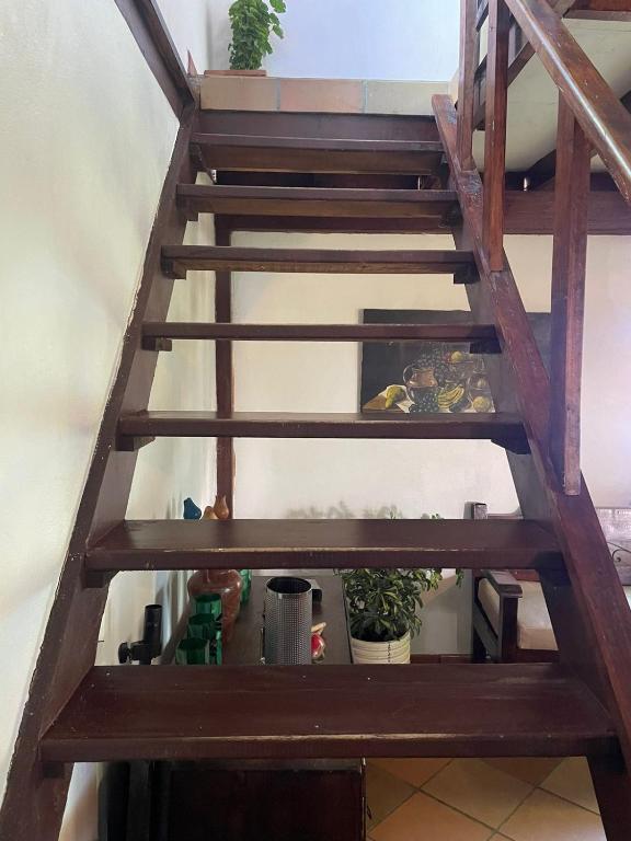 Finca el Majagual - 3