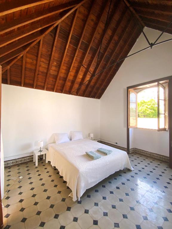 Comfortable Room in Historic Casa Quesada Shared House - 3