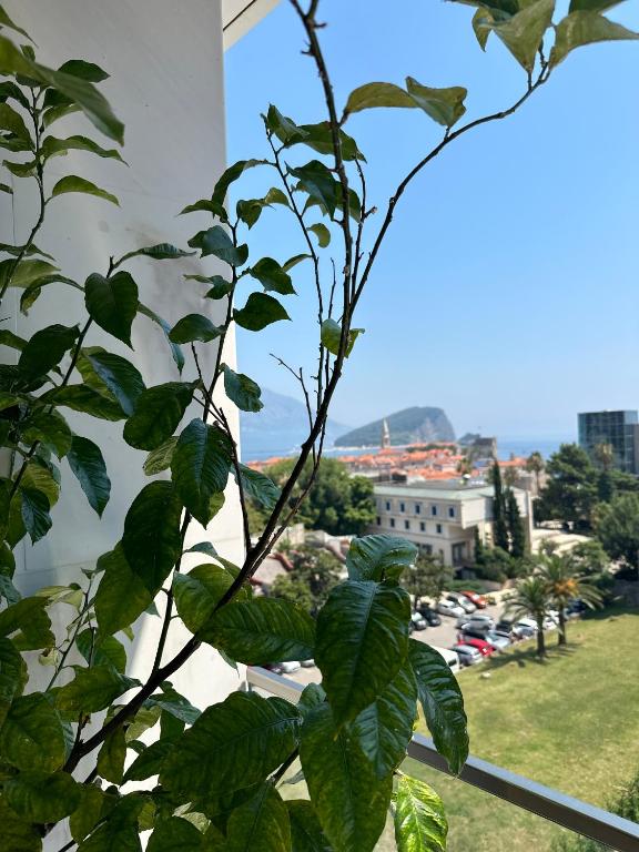 Leona Residences Apartment - 3