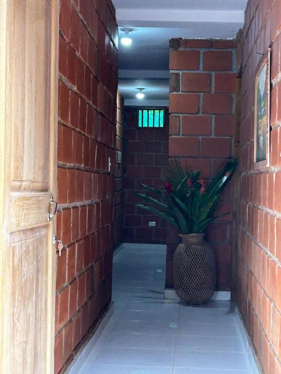 Hotel Destino del Pacifico - Bahia Solano - 3