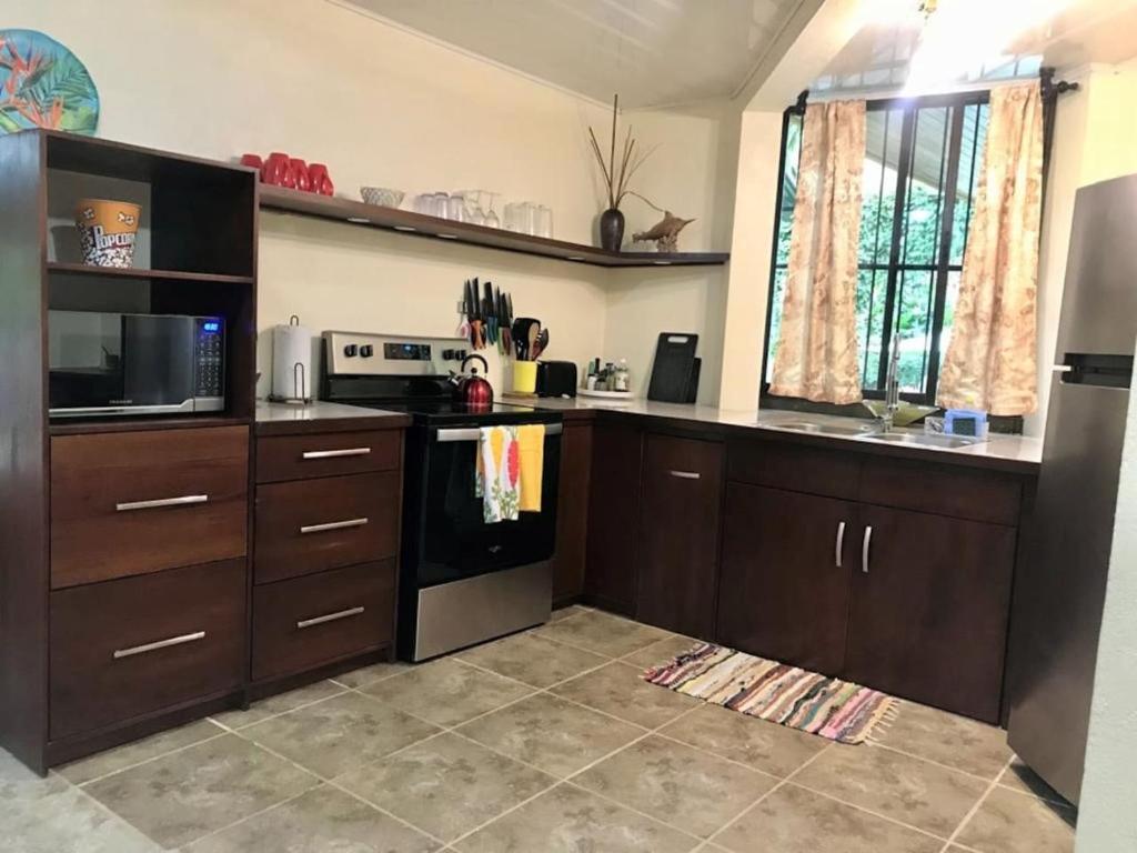 Mono Vista At Jungle Creek Chill out in the Jungle, Manuel Antonio