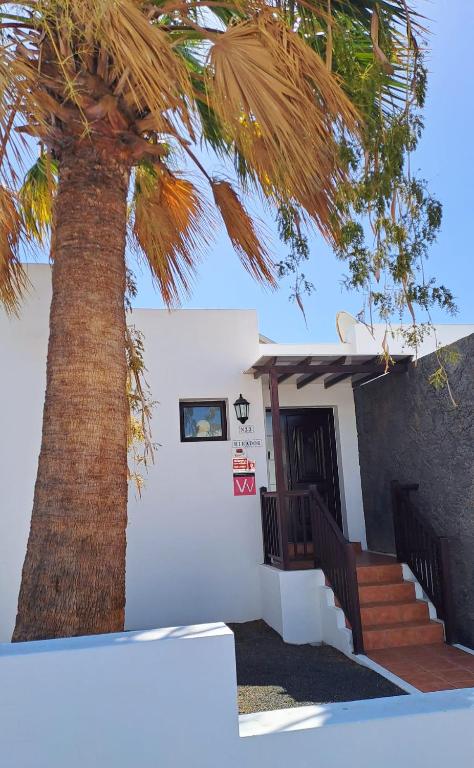 El Mirador - 3