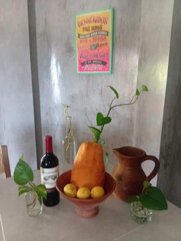 Casa Ninfa "Alojamiento Completo" - 4