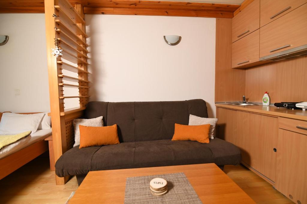 Apartman 218 - Vučko Jahorina privatni apartman - 3