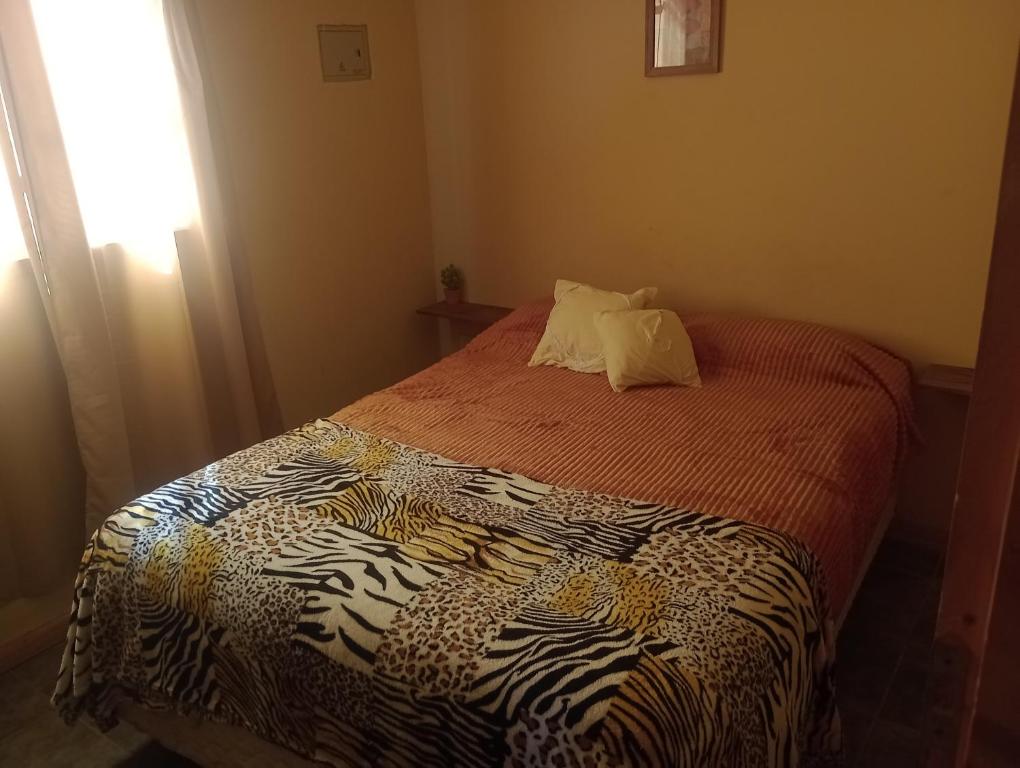 Finca La Soñada 2 - 3