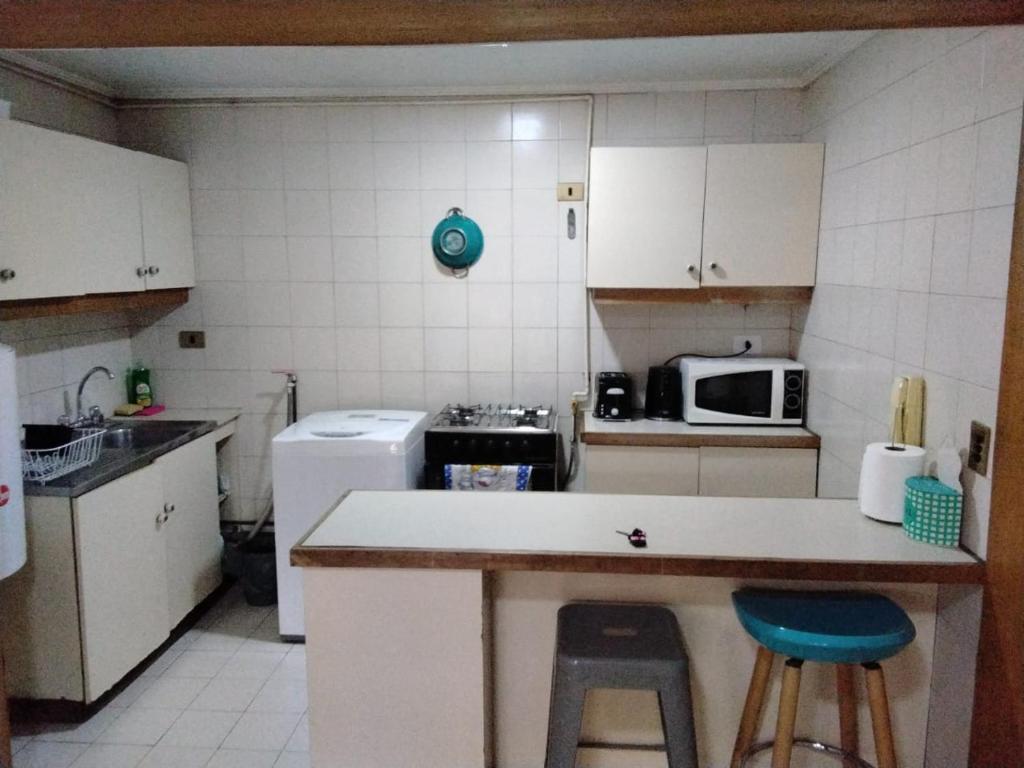 Acogedor departamento en providencia - 3