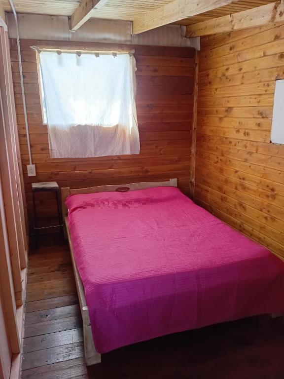 Serendipia Casa de campo en la costa del rio Quemquemtreu Ruta40 - 2