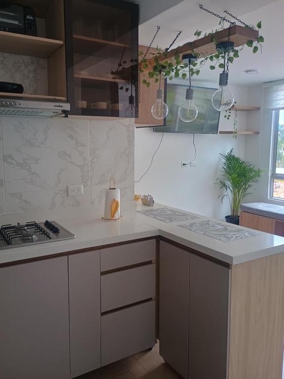 Apartamento en Ricaurte Cundinamarca - 3