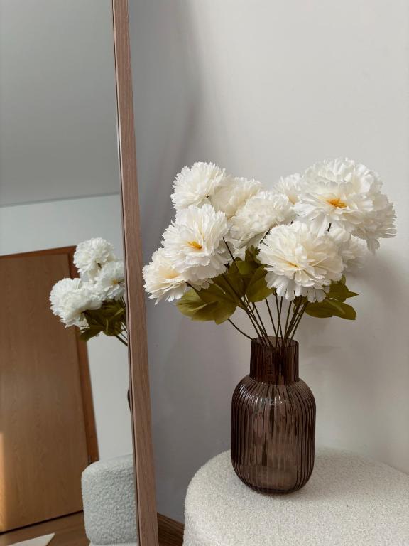 Apartment Lena Mostar, Mostar