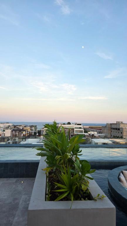 Luxury condo whit ocean view in Altra Beach - 4