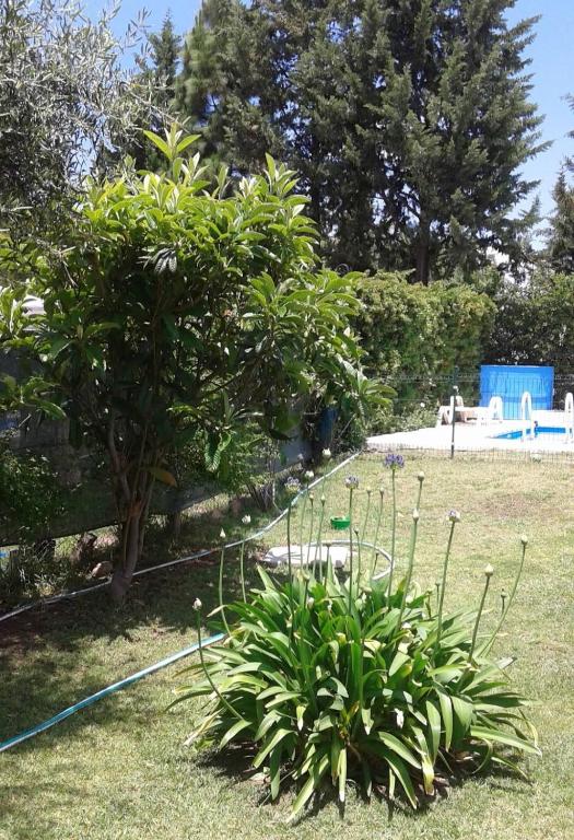 Vistalba Country - 4