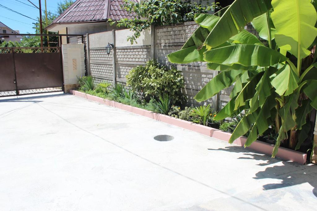 Guest House Lilia