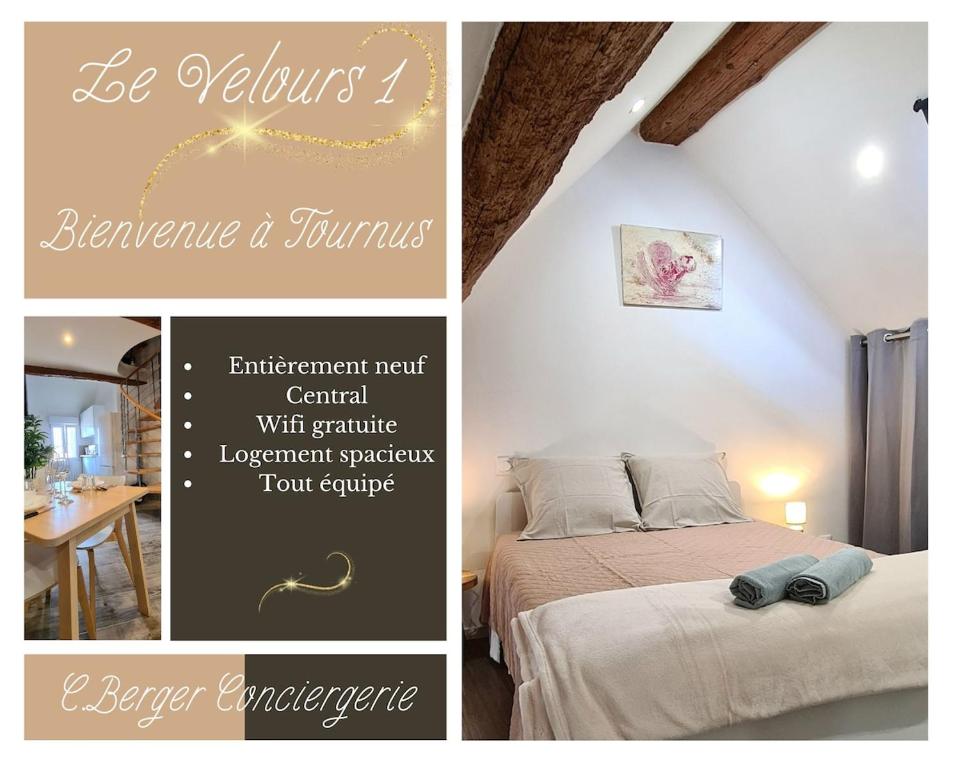 Le Velours 1-Spacieux, Central, Entièrement neuf, Tournus