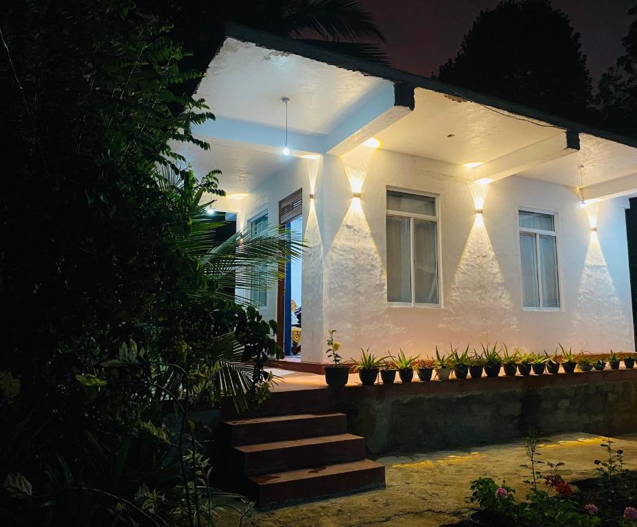 Ella Hidden Ferns, Ella