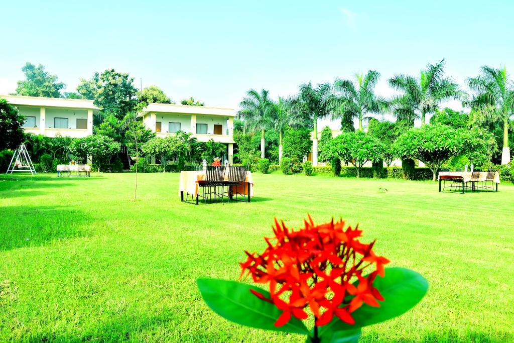 Motibagh Resort, Sawāi Mādhopur