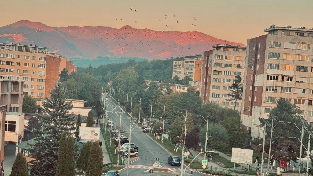 Vulcan Apartment, Vulcan