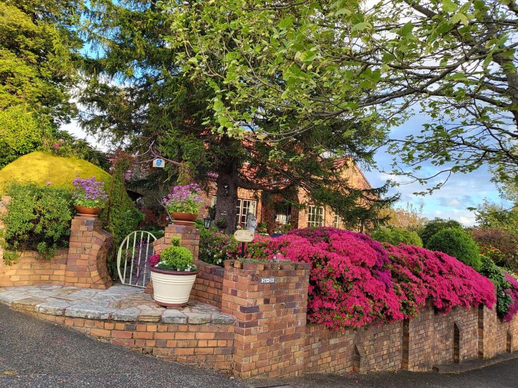 Echo point Cottage, Katoomba