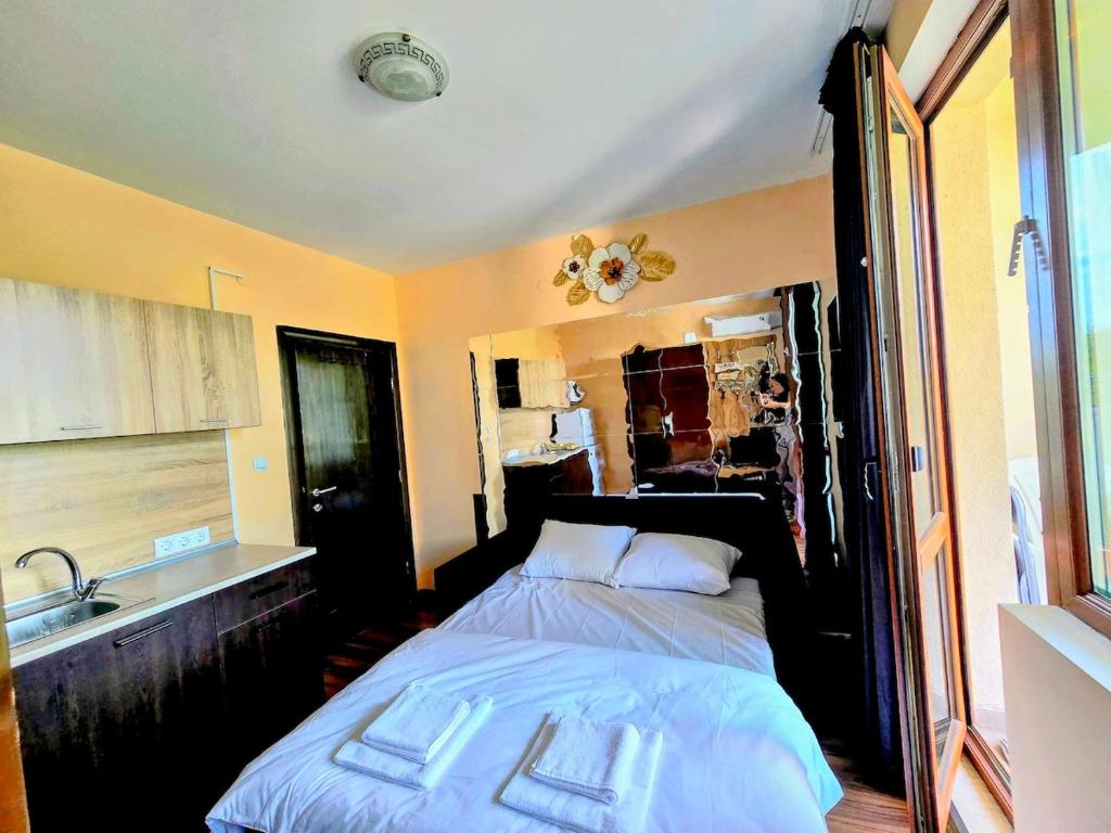 Apartment - Studio Cucetno, Sandanski