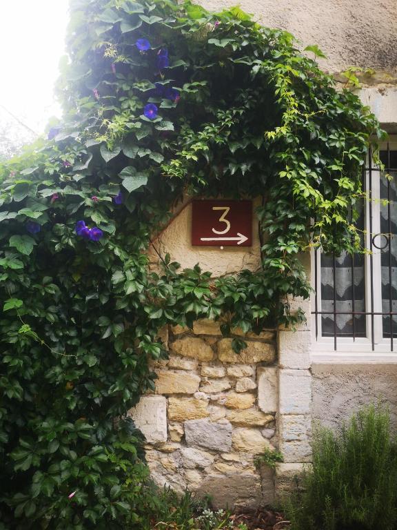 Appartement de plain-pied avec jardin - 2
