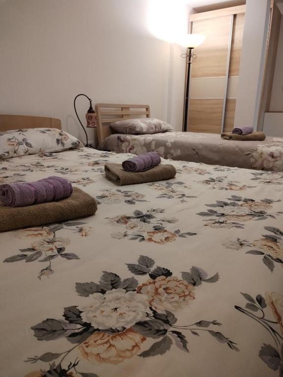 Apartman TeLaS - 5