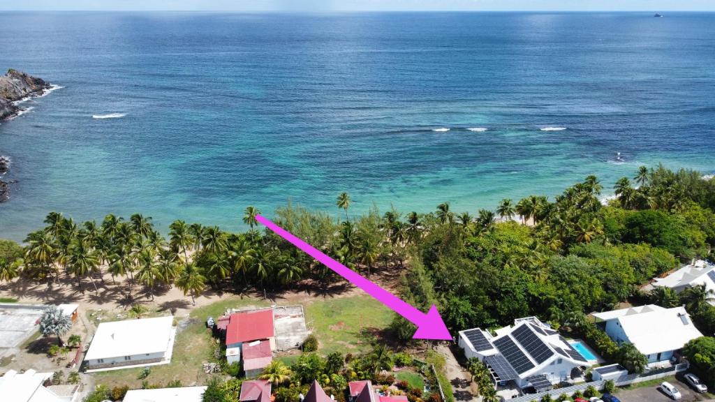 Studio Ti Bambou, La Trinité