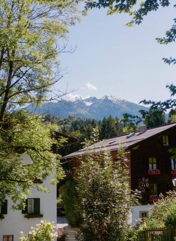 Seehof Goldegg - 4
