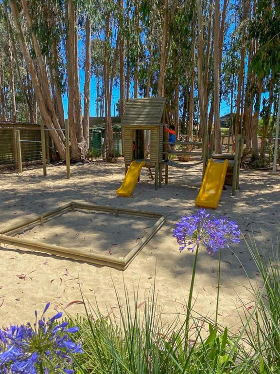 Departamento Algarrobo - 3