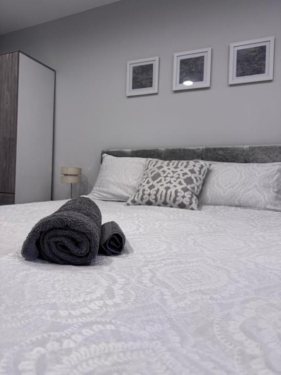 studio flat near NEC, Solihull & Airport. Short & Long stay Contractors HS2, NHS, Solihull