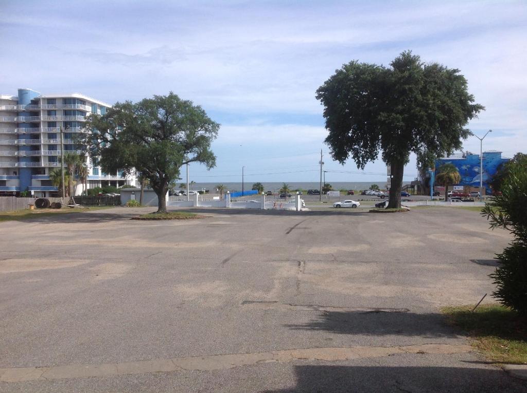 Flamingo Beach Inn photo