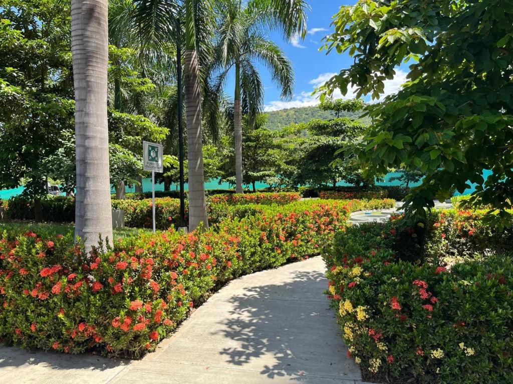 Apartasol vacacional - 1