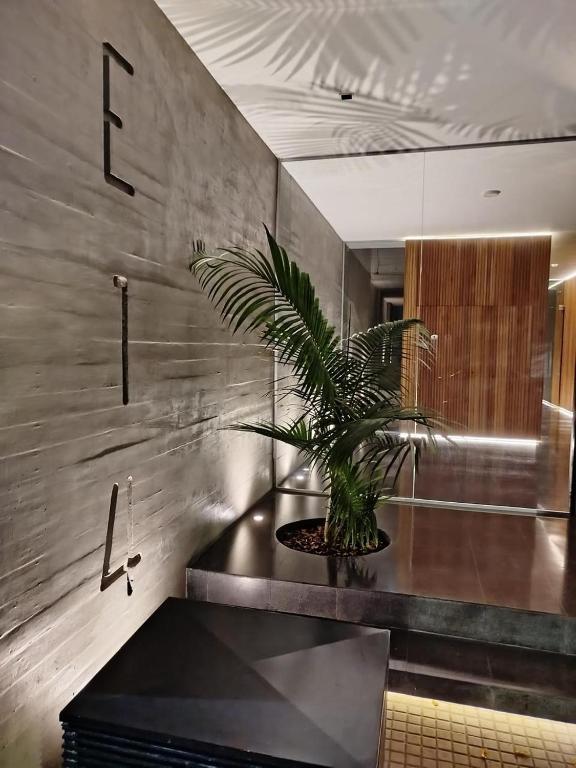 Apartamento Premiun Catedral - 2