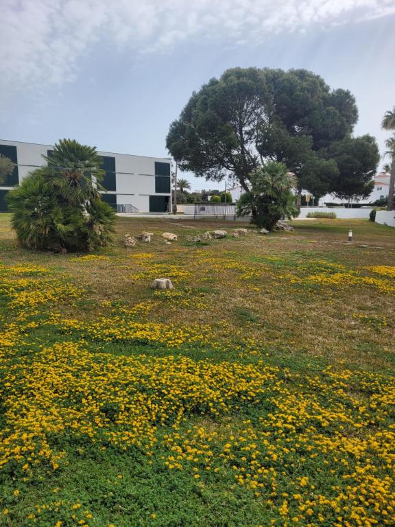 Cala en Bosc appartamento con piscina - 3