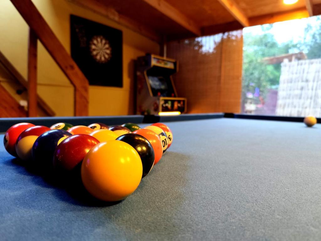 El KINTU WASI, Vicuña