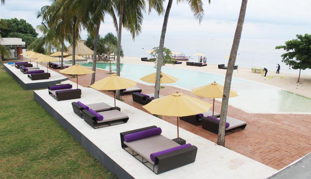 スイミングプール