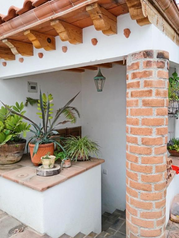 Casita Olivia - 2