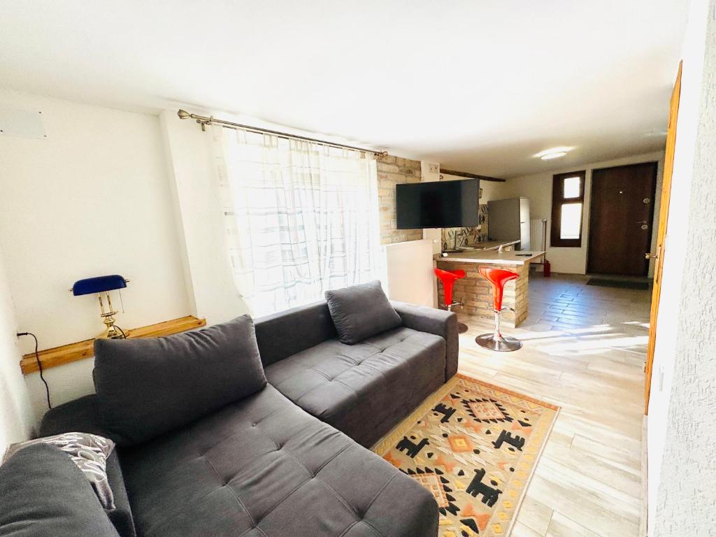 Vila Eruga - Ap nr 4, Poiana Mărului