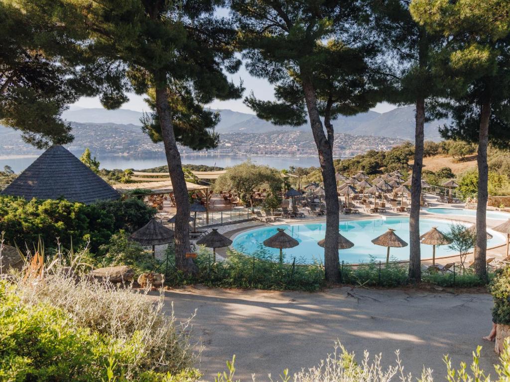 Vigna Maggiore, Olmeto