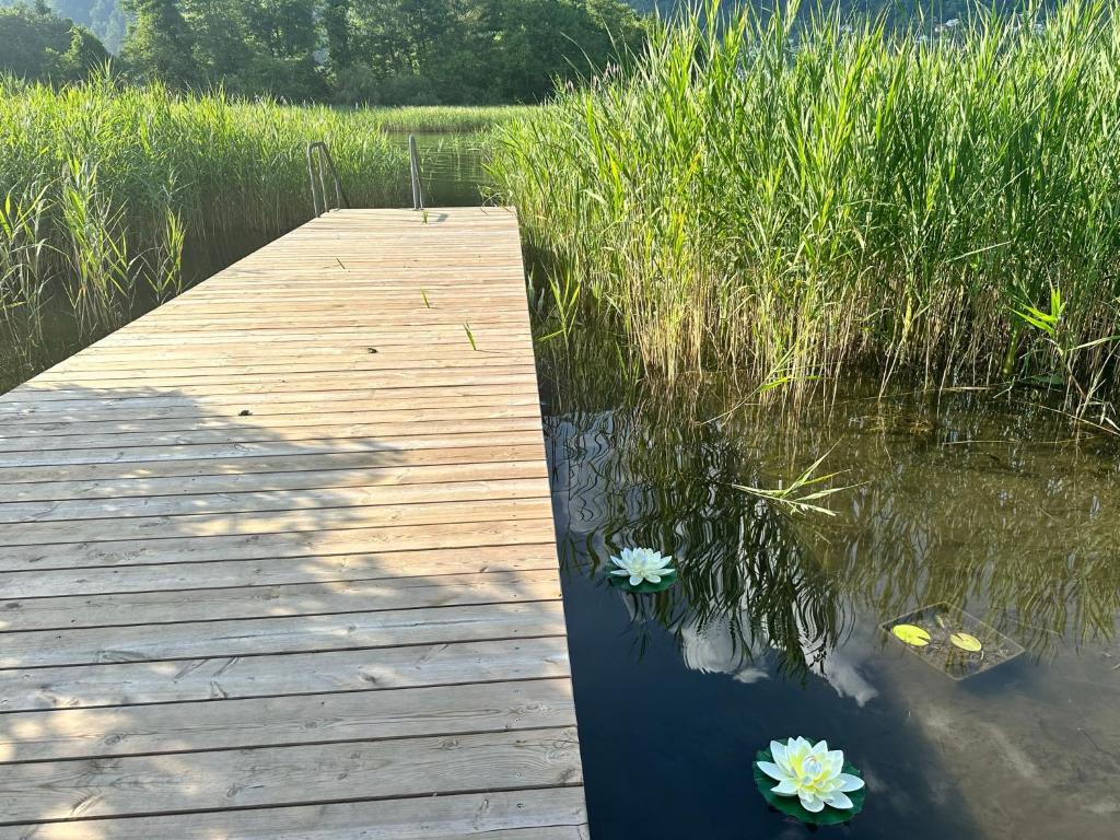 Camp O Lake Haus am See - 2
