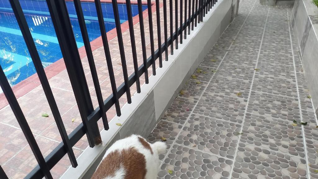 Regresa de Nuevo - Agradable casa de Campo en el Guadual Rivera - 3